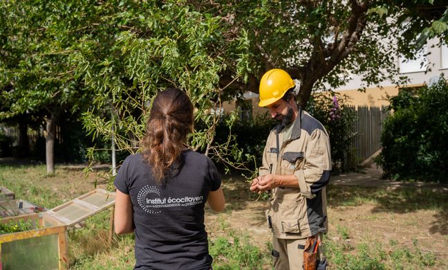 Prélèvement de végétaux sur le terrain
